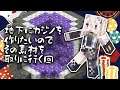 【Minecraft】サムネでネタバレしてる配信【獅白ぼたん/ホロライブ】