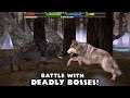 The ultimate wolf simulator Gameplay ( Wolf vs Boss: Bear and Wolf