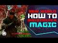 Amazon's New World Melee & Magic Build Guide | New Player Guide