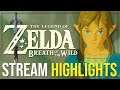 "Nothing could possibly go wrong" - Breath of the Wild Stream Highlights! #Shorts