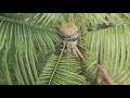 Stranded Deep ~I Thought It Would Pop Out~ Clip176