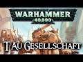 Warhammer 40k Lore | Gesellschaft der T'au (Höhere Wohl, Kasten & Namen)