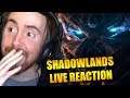 Asmongold Reacts to The New World of Warcraft Shadowlands Reveal