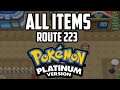 EVERY Item in Route 223 - Pokémon Platinum