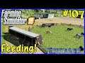 Let's Play Farming Simulator 19 #107: Feeding The Horses!