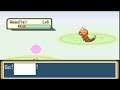 Pokemon Meta Fire Red X  (Experiment) Leave Home Town Without Starter & fight trainers