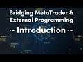 1) Intro | DWX ZeroMQ Connector for Algorithmic Trading