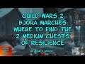 Guild Wars 2 Bjora Marches Where to Find the Two Medium Chests of Resilience