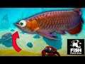 ¡NO TE METAS EN EL AGUA SI VES ESTE PEZ! - Feed and Grow: Fish (Survival Simulation Game)