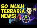 Terraria November State of the Game News (Switch, Consoles, PC, and more)