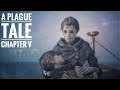 A Plague Tale | PS5 | No Commentary | Chapter V | The Ravens' Spoils