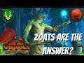Are ZOATS The Answer To META? Wood Elves vs Greenskins. Total War Warhammer 2, Multiplayer Battles