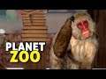 Os macacos confusos! | Planet Zoo #04 - Carreira Gameplay PT-BR
