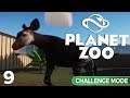 Planet Zoo - Challenge Mode: Episode 9 | BONGO! BONGO!