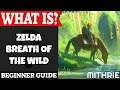 Zelda: Breath of the Wild Introduction | What Is Series