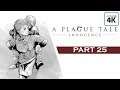 A Plague Tale Innocence 4K 60FPS PC Gameplay Part 25 - Arthur's Death/Nicholas Boss