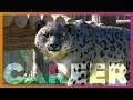 🐵 Snow Leopard Island | Planet Zoo Career Mode