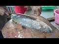 Amazing Red Snapper Cutting Skills | Fish Videos | MSF Fishing Life