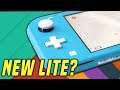No, A New V2 Switch Lite Isn't Happening...