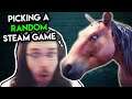 This Horse Lagged My Game! - [Playing RANDOMLY SELECTED Steam Games!]