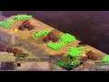 2v2 Acclivity vs Britons and Turks