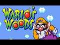 Round Game - Wario’s Woods (SNES)
