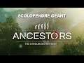 Scolopendre | Ancestors The Humankind Odissey | gameplay let's play PC