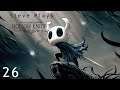 Steve Plays Hollow Knight Episode 26 (Howling Wraiths)