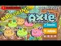 AXIE INFINITY MMR GRIND - 07/31/2021