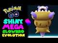 SHINY MEGA SLOWBRO EVOLUTION in Pokemon Go