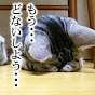 グリ風