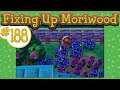 Animal Crossing New Leaf :: Fixing Up Moriwood - # 188 - The Grind Begins...