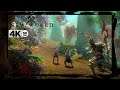 NEW WORLD 4K ᵁᴴᴰ 60ᶠᵖˢ Journey To Max Level (28) Level 45+