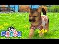 My Dog Pet Dog Game Simulator - Trailer Gameplay