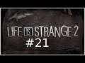 Let's Play - Life is Strange 2 - Parte 21: Stellina, dove sei?