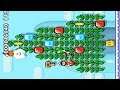 Super Mario Maker 2 🔧 HCM - Winter Summerland 🔧 J-Spot