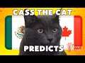CASS THE CAT - 2021 GOLD CUP SEMI FINAL PREDICTION - MEXICO VS CANADA