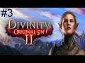 Divinity Original Sin 2: Enhanced edition. Tactician difficulty. Part 3 Fort continued.