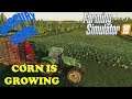 Mercury Farms Ep 55     The corn in planted     Farm Sim 19