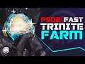 PSO2 New Genesis How to Farm TRINITE FAST | New Player Guide