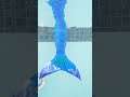 #shorts #shortsbeta #dolphin Dolphin in water, Dolphin in swimming pool, Beautiful Dolphin in water
