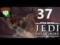 #37 Gorgara - Star Wars: Jedi Fallen Order (Blind, Let's Play, Jedi-Großmeister)