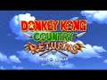 Donkey Kong Country Returns - 1 - three circles