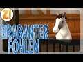 Ein süßes Brabanterfohlen 🦄 Horse Haven World Adventures #365