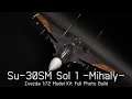When the Sky Starts Speaking Latin - Ace Combat 7 Su-30SM Mihaly (Zvezda 1:72 Model Kit Full Build)