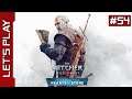 The Witcher 3 : Hearts of Stone (Mod) [PC] - Let's Play FR (54/80)