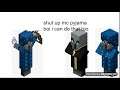 minecraft Evoker & Illusioner meets!