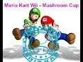 Mario Kart Wii - Mushroom Cup