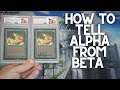 MTG: Alpha vs Beta, How To Tell Difference! Everything You Need To Know. Magic The Gathering Cards