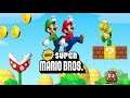New Super Mario Bros Review - Heavy Metal Gamer Show